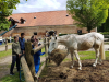 20190507_104054