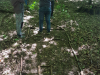 20190510_120050