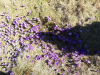 20190330_142848