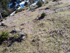 20190330_150001