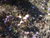 20190330_150008