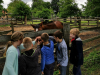 img_20190507_110153