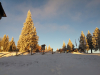 20181213_080221_hdr